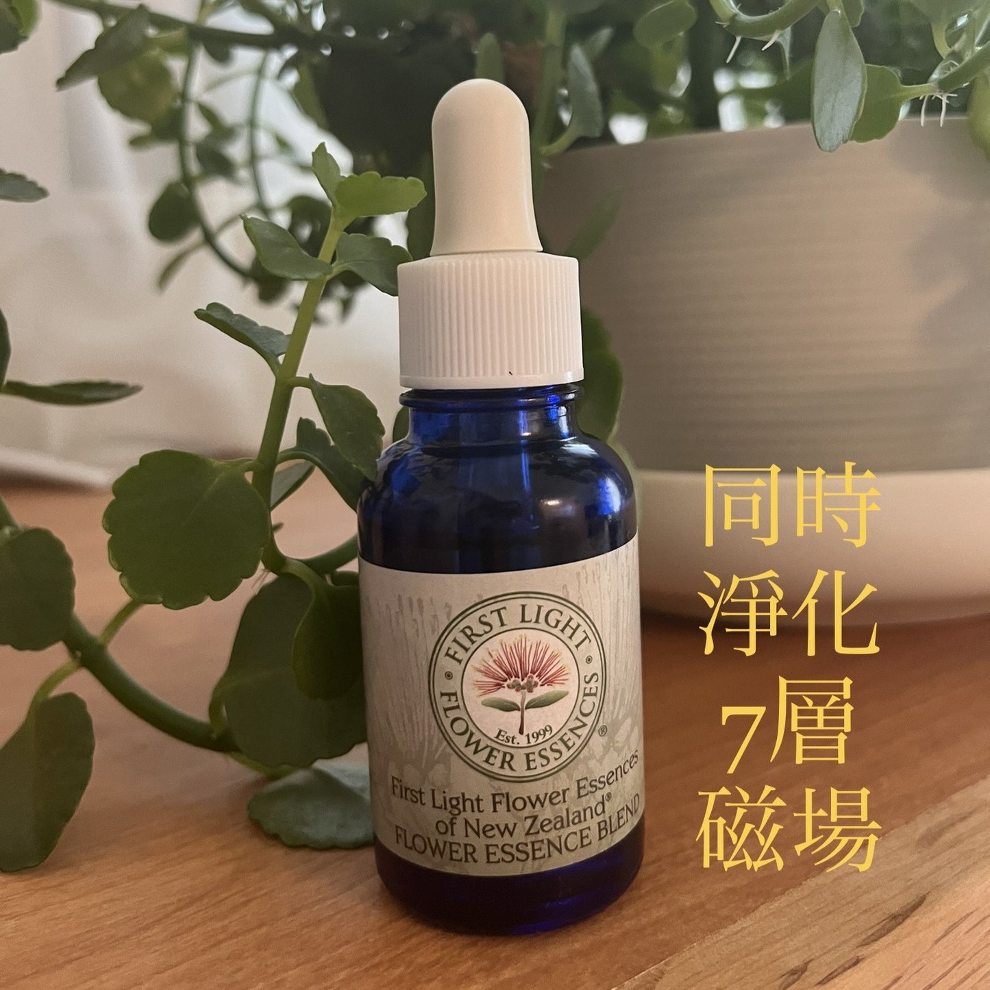 磁場淨化 / 氣場 / 同時淨化7層磁場 / 調頻 / 淨化 / 人生順利 / Flower Essence鈕西蘭花精 / 日本發貨 / 免運費